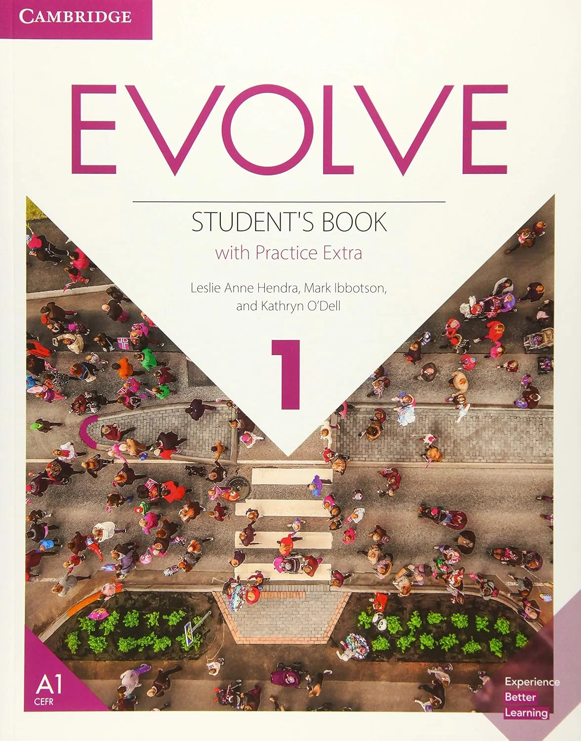 Livro Evolve